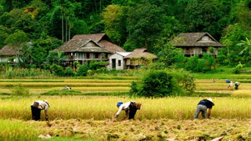 Mai Chau Vietnam - Circuit Vietnam authentique 21jours